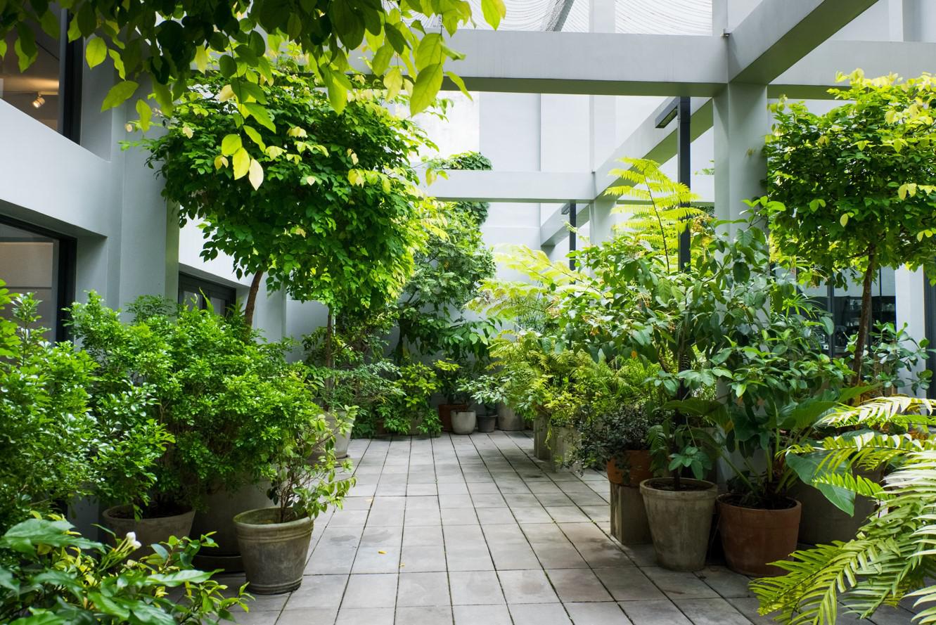 Важно выдерживать баланс: сочетать растения, которые не будут затенять друг друга, а также учитывать период покоя у зимующих культур