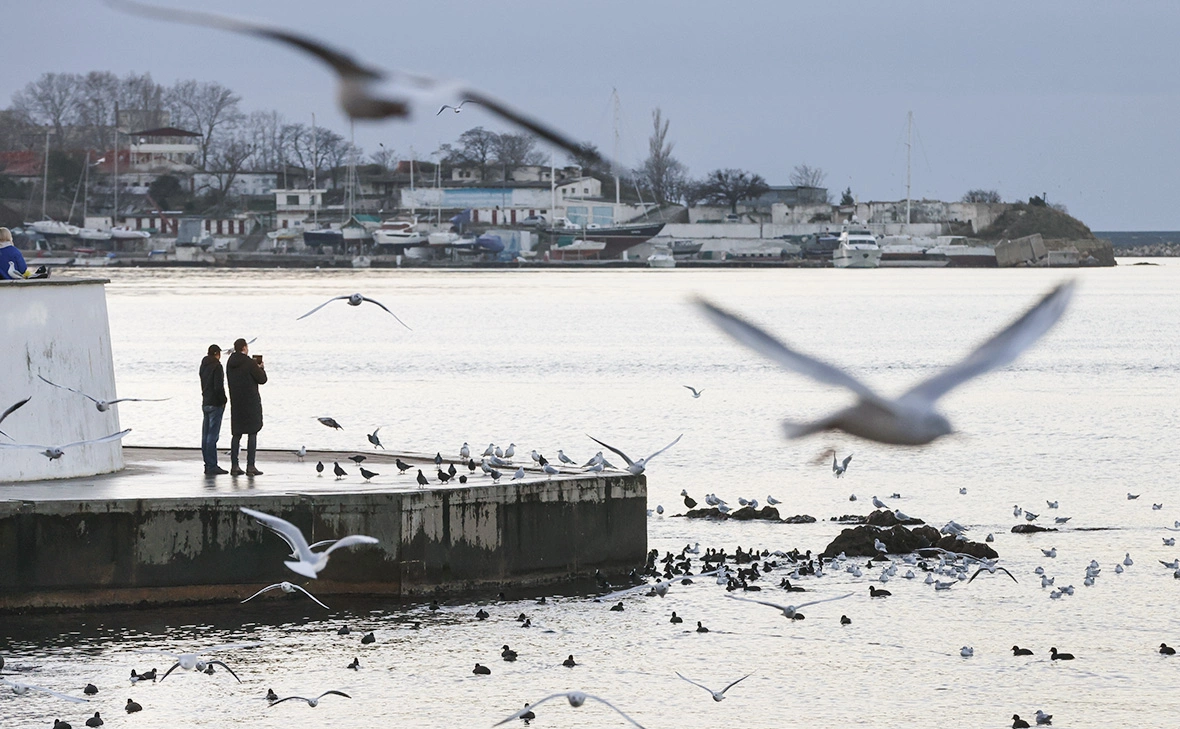 Сергей Мальгавко / ТАСС