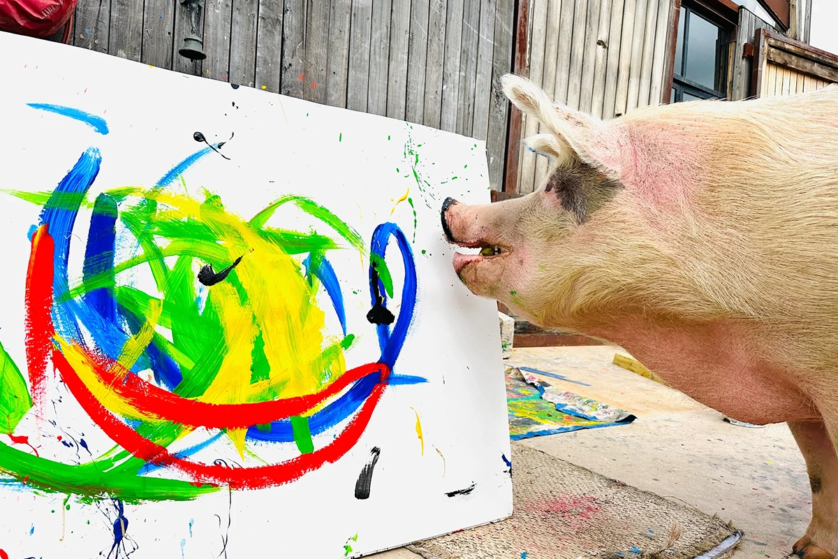 <p>Свинья-живописец Пигкассо</p>