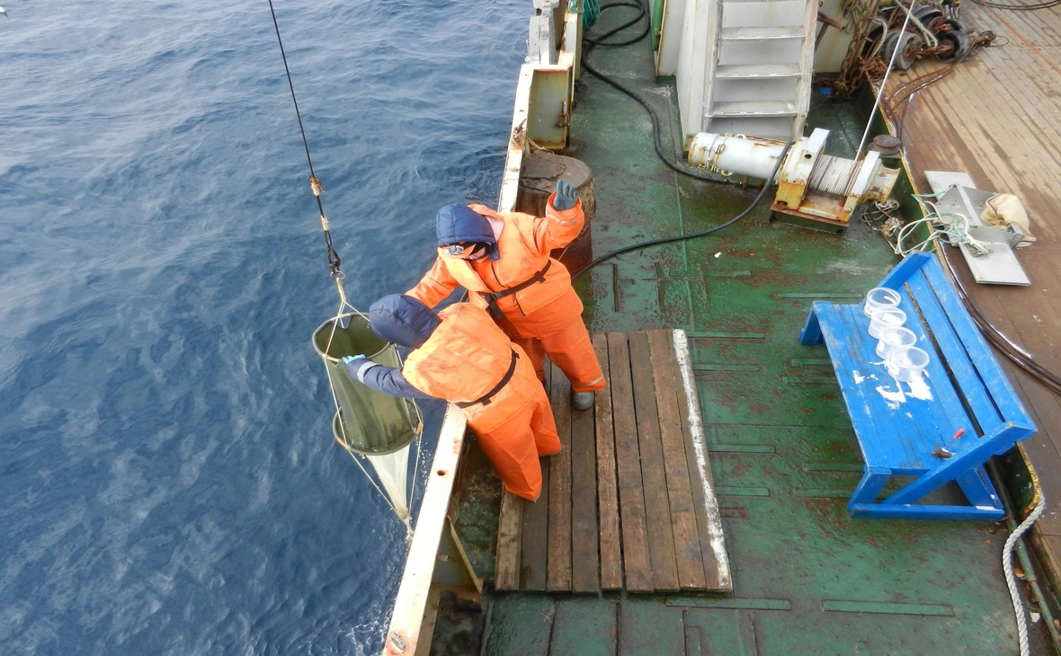 ФГБНУ «ВНИРО» / vk.com