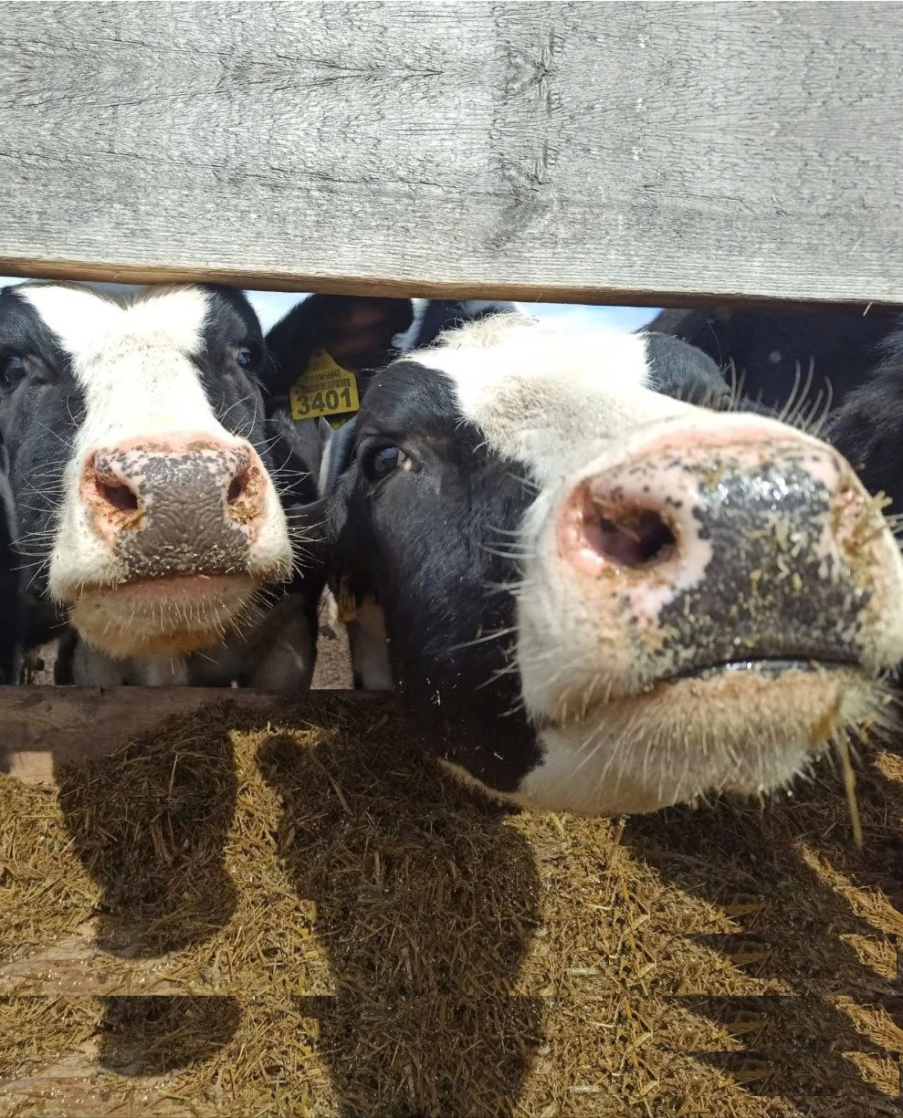 департамент сельского хозяйства Вологодской области