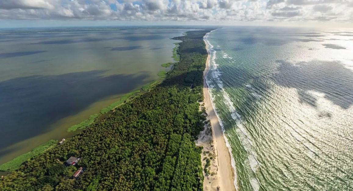 Фото: пресс-служба нацпарка «Куршская коса»
