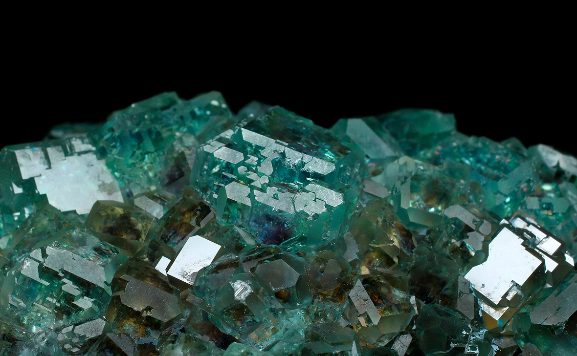 Dan Olsen / Shutterstock