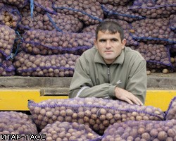 Минэкономразвития хочет обнулить пошлины на импорт картофеля