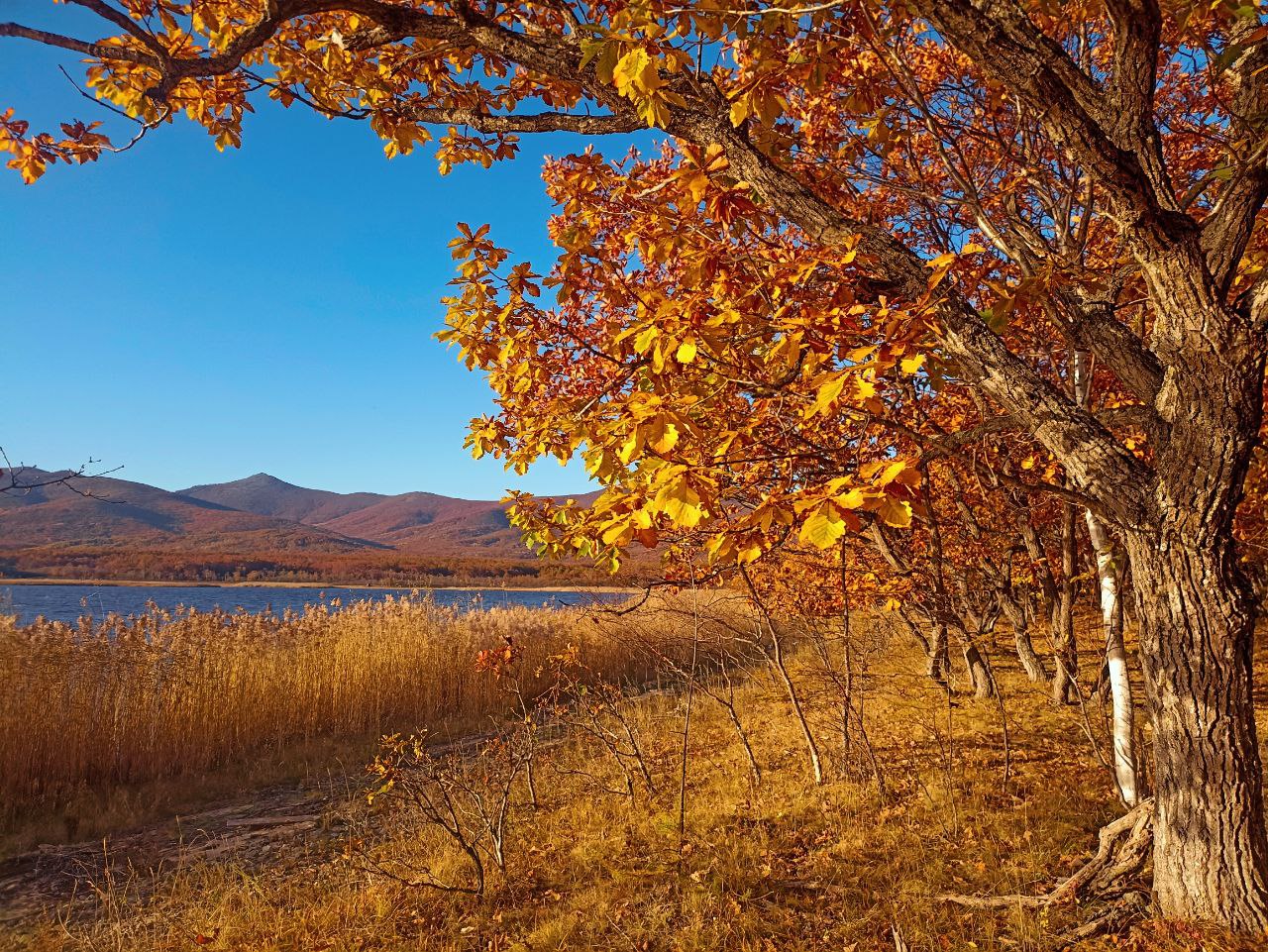 Фото: РБК Приморье