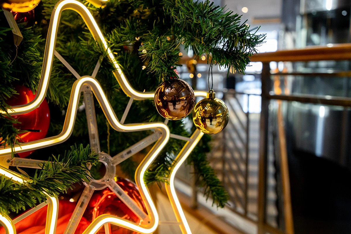 Новый год на вершине: сколько стоит встретить 2026-й в Красной Поляне