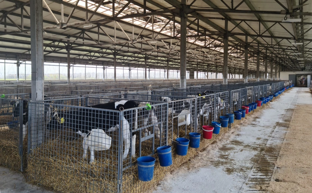 РБК Черноземье