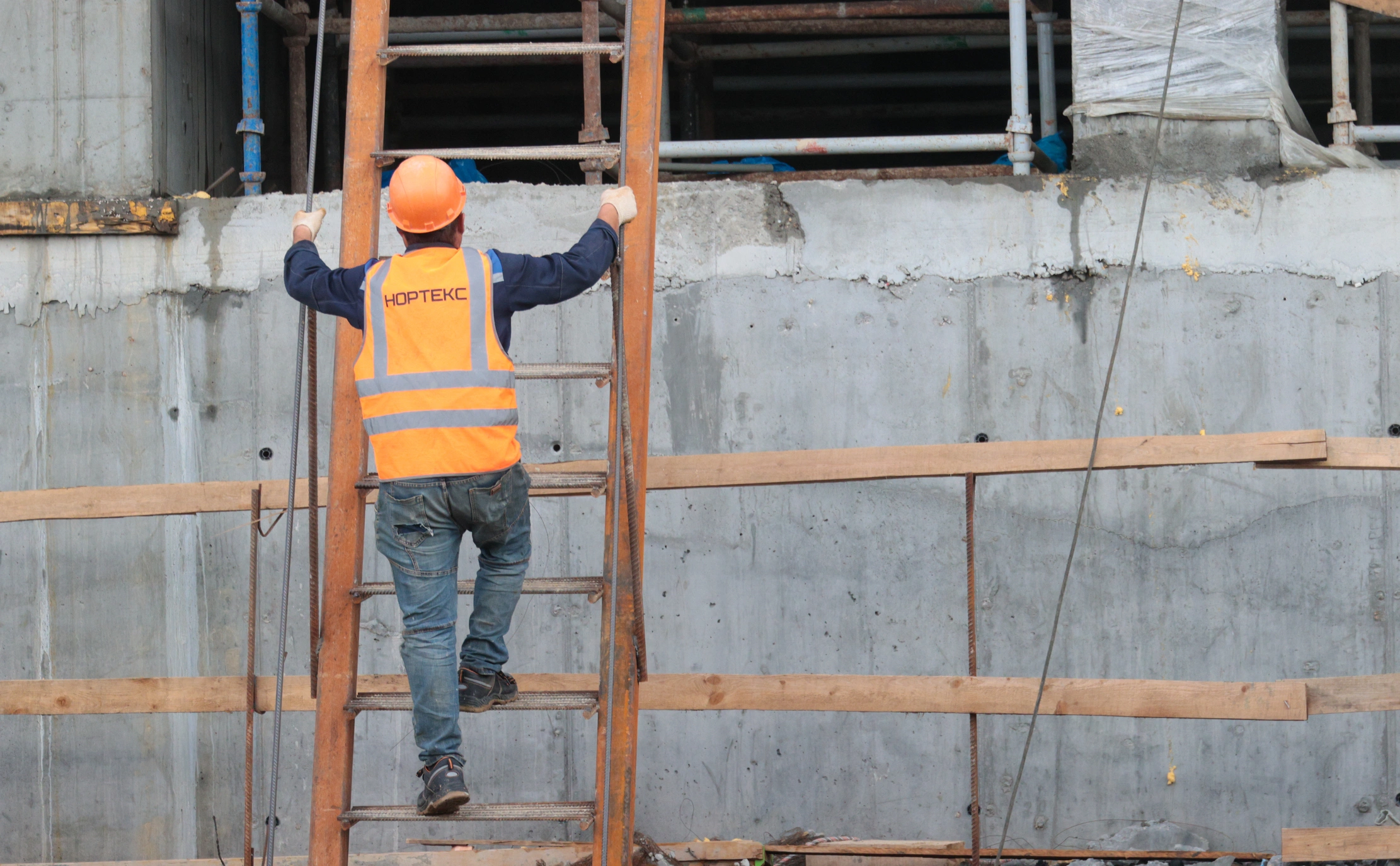 Алексей Белкин / NEWS.ru / ТАСС