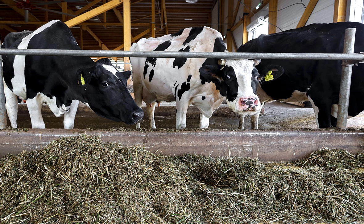 Елена Майорова / Global Look Press