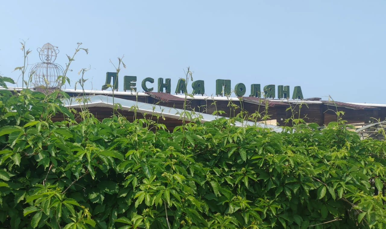 РБК Приморье