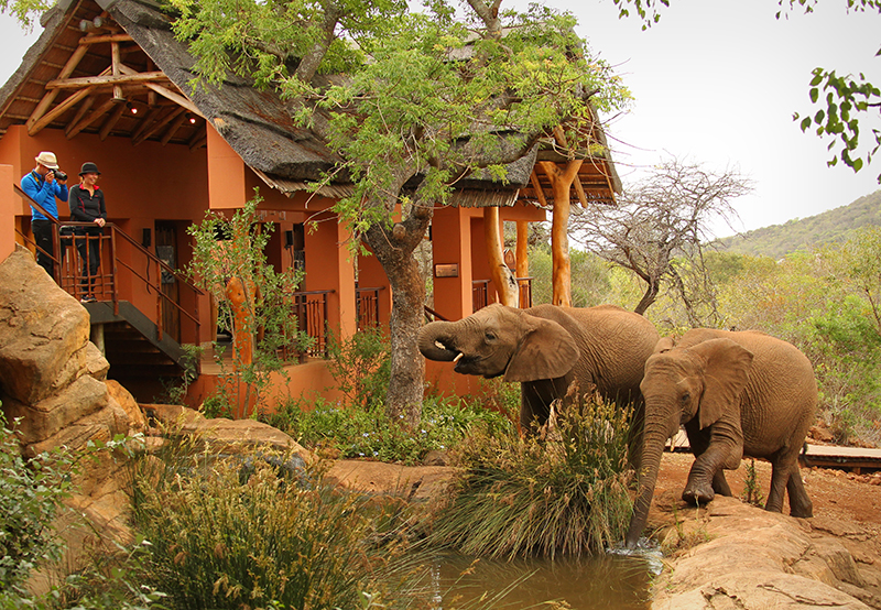 Сафари-парк Thanda Safari
