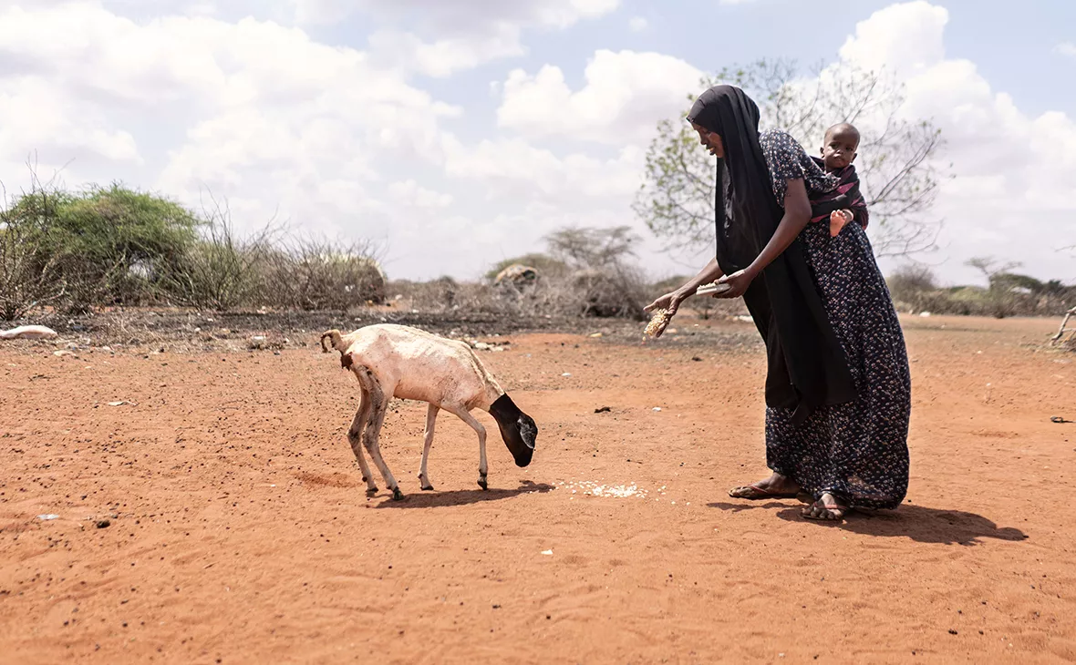 World Food Programme / Reuters