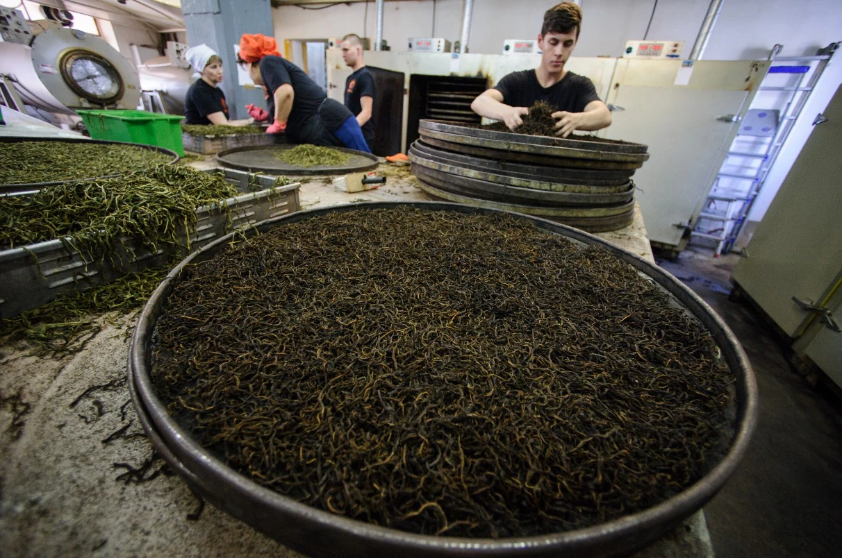 Владимир Жабриков / URA.RU