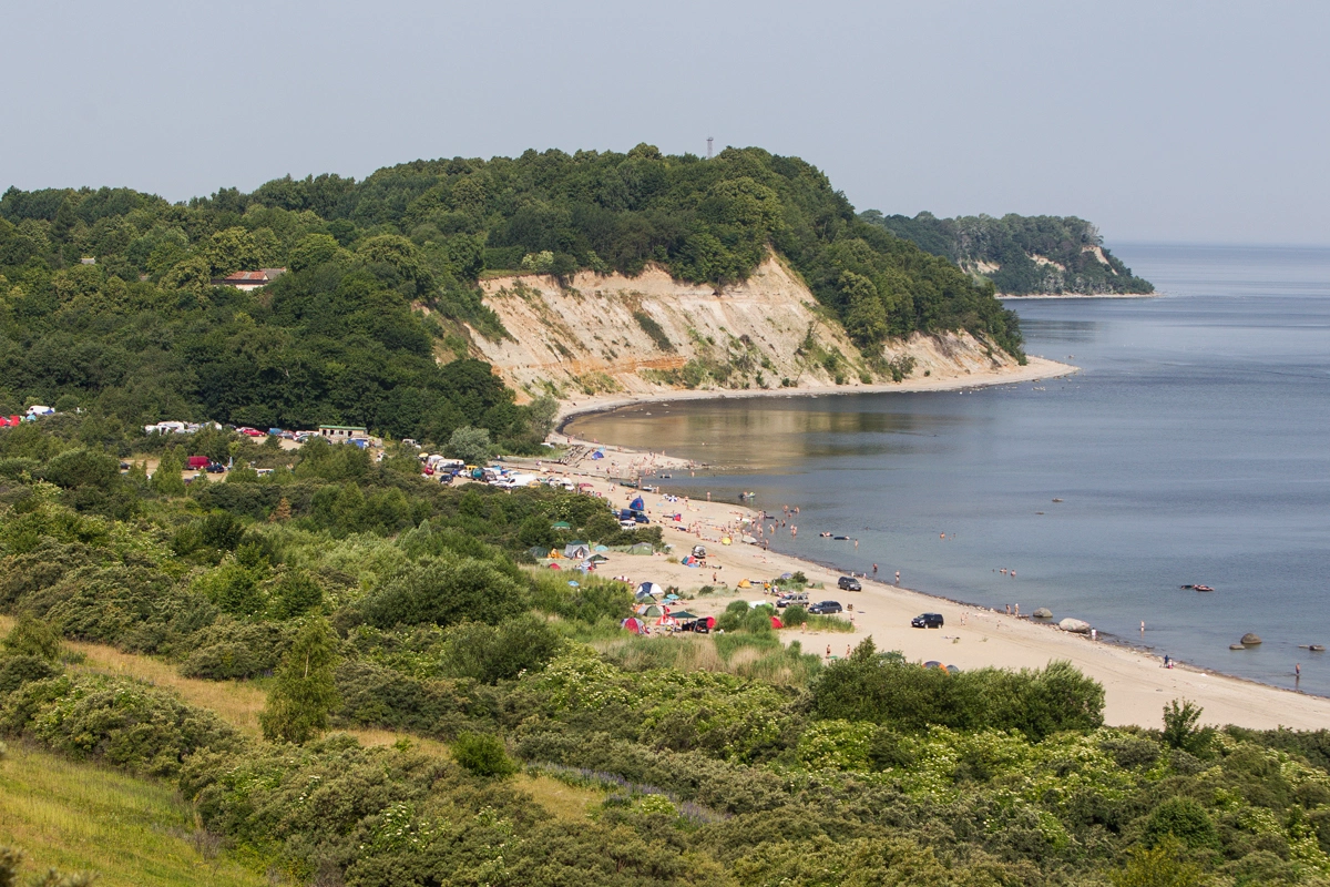 Александр Подгорчук