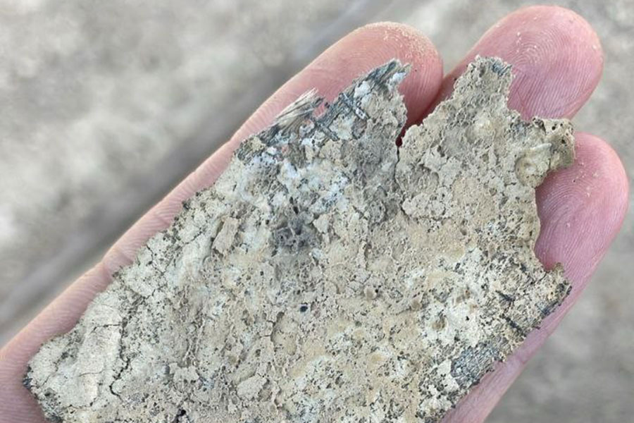 Фото: Очевидцы для РБК