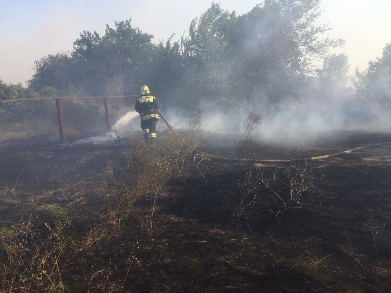 Площадь пожара в Тарасовском районе Ростовской области выросла до 700 га