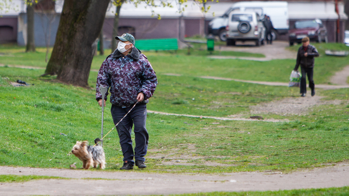 Фото: Александр Подгорчук