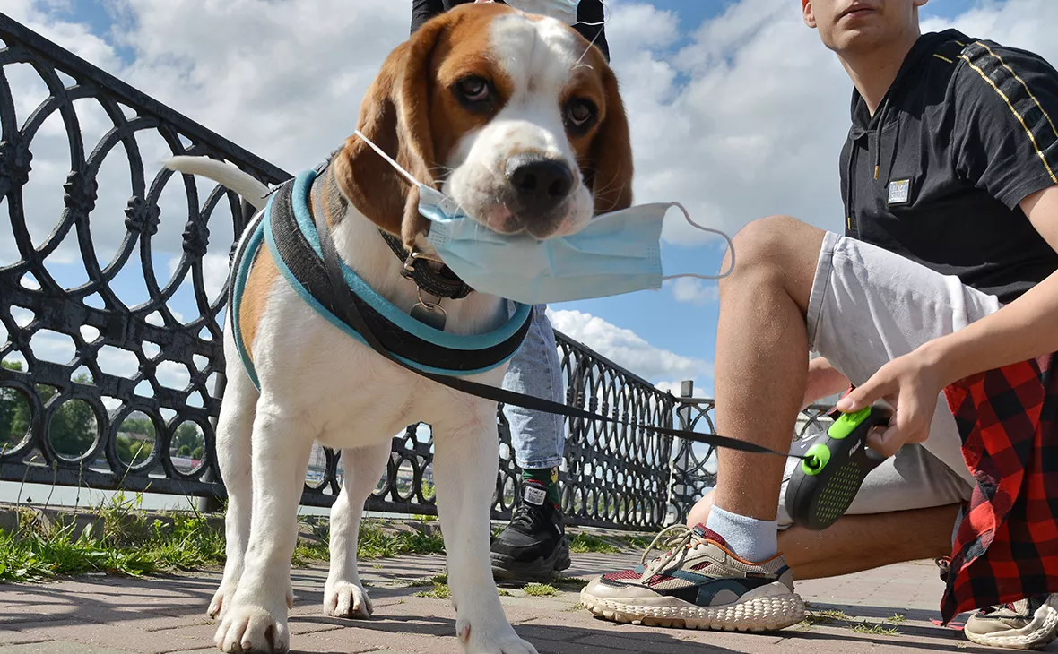 Игорь Онучин / ТАСС