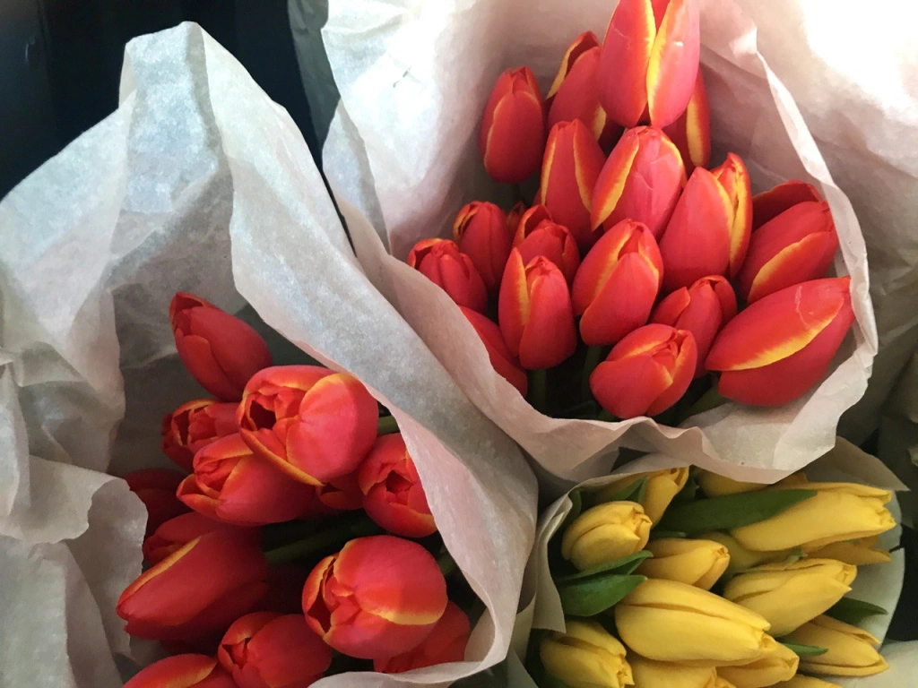 Администрация Владивостока