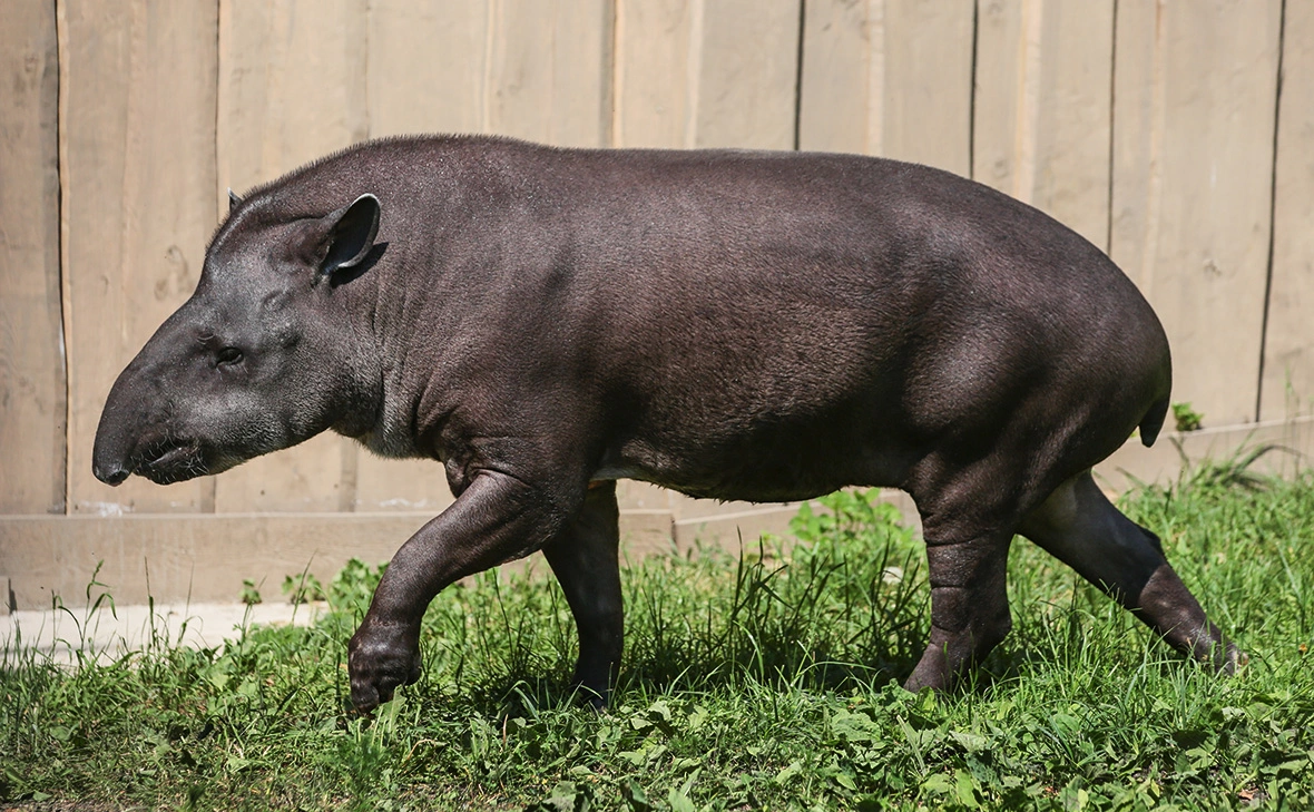 Роман Наумов / URA.RU / Global Look Press