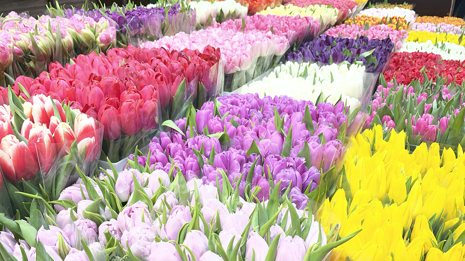 «Дорого, но что делать». Что творится на Рижском рынке накануне 8 Марта