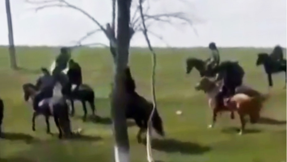 В полиции Дагестана рассказали о встреченных чеченцах на конях