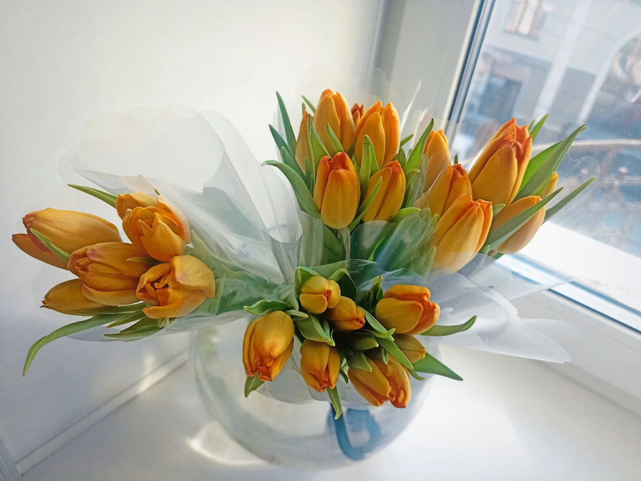 РБК Приморье