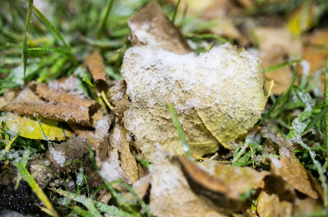 Денис Моргунов / URA.RU