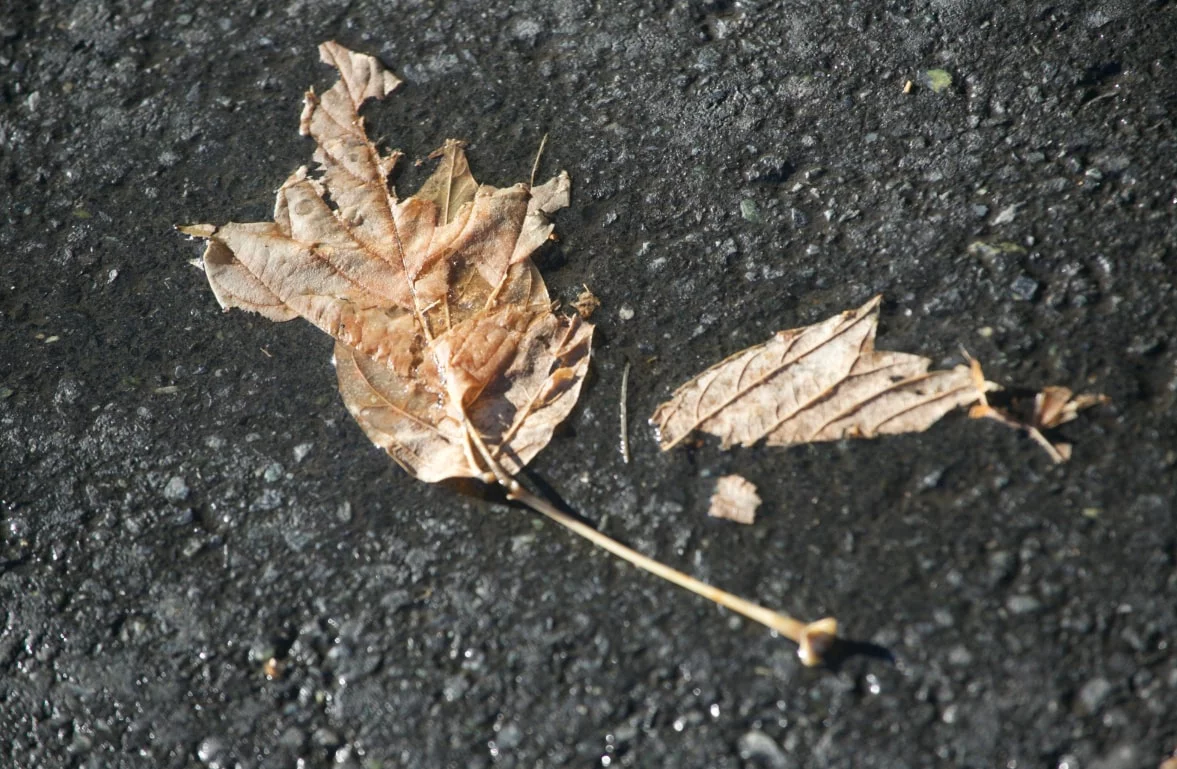 Денис Моргунов / URA.RU