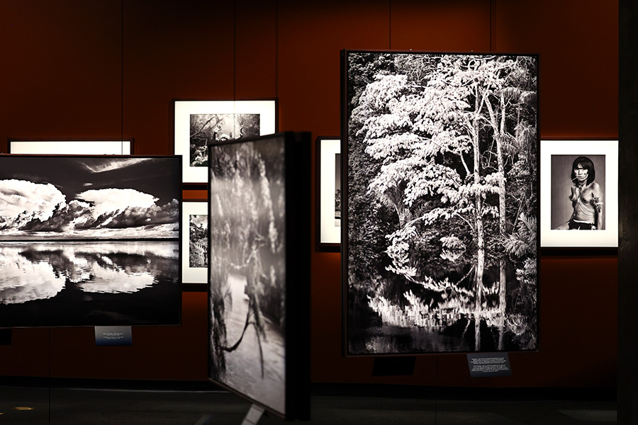 Фотовыставке Себастьяна Сальгадо &laquo;Амазония&raquo; в Лос-Анджелесе, США, 2022 год