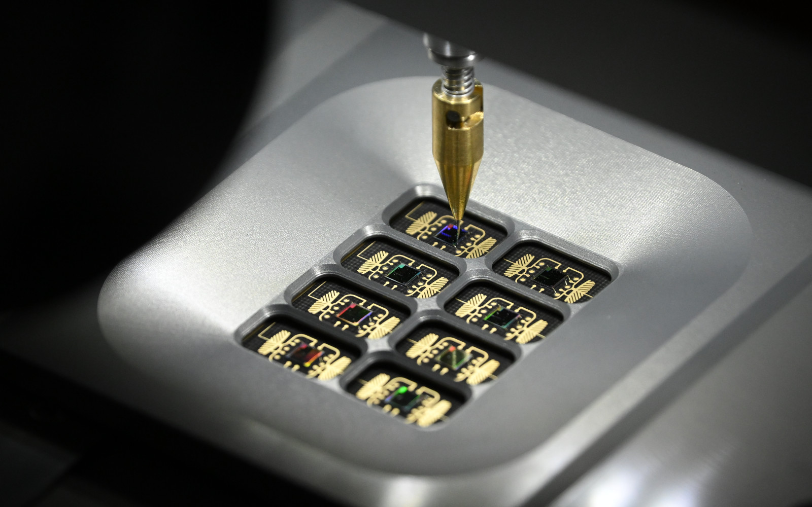 Фото: Максим Блинов / РИА Новости