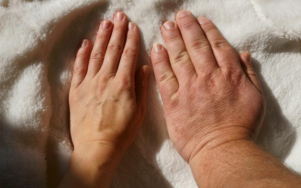 Фото: Shutterstock