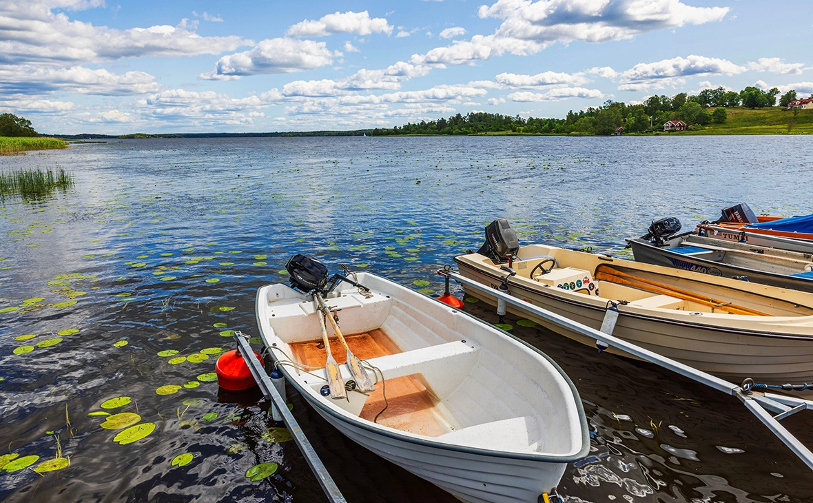 Mulevich / Shutterstock