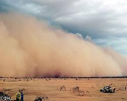 В Египте бушуют песчаная буря и грозовые ливни