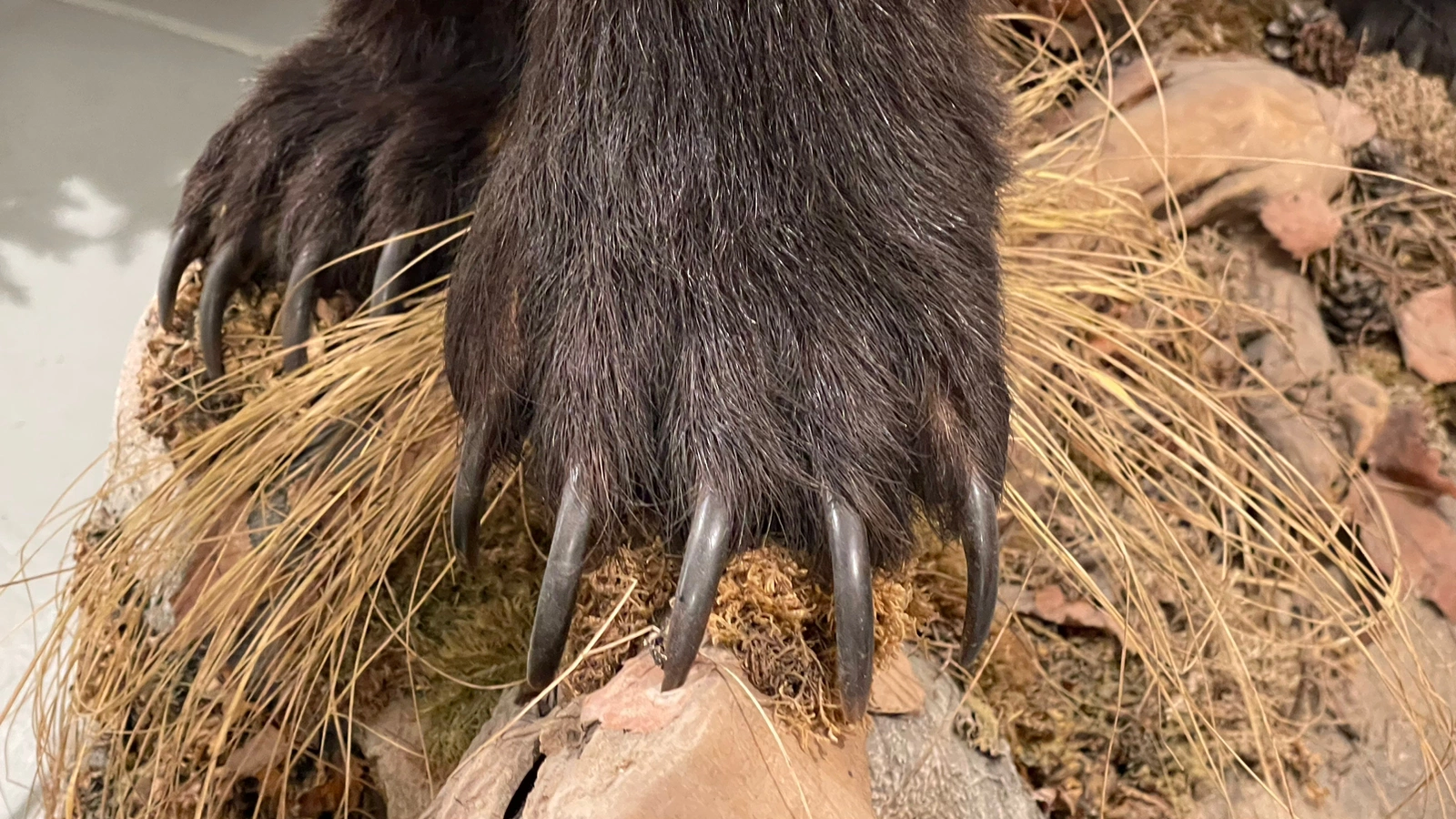 РБК Приморье