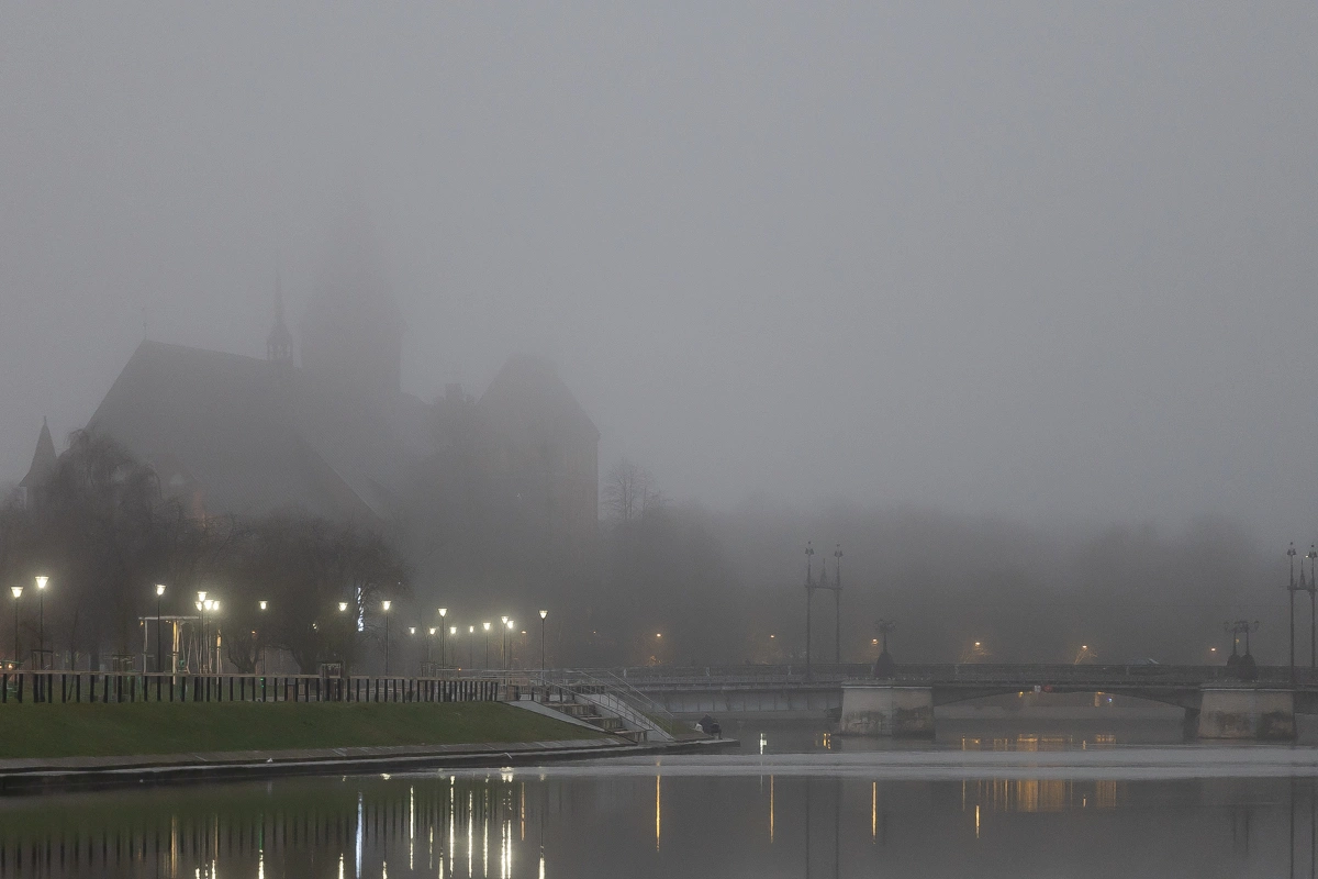 Александр Подгорчук