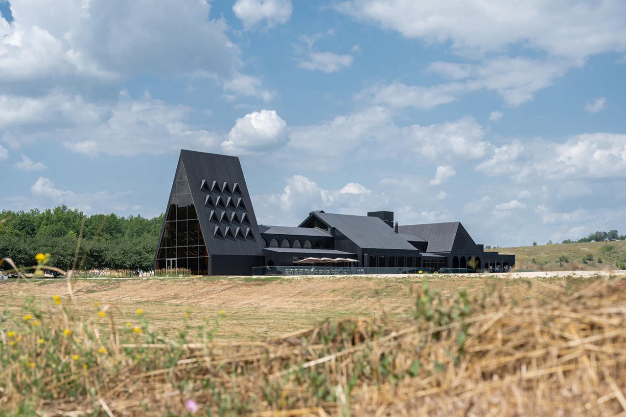 Центр гостеприимства в парке «Кудыкина гора», проект Megabudka