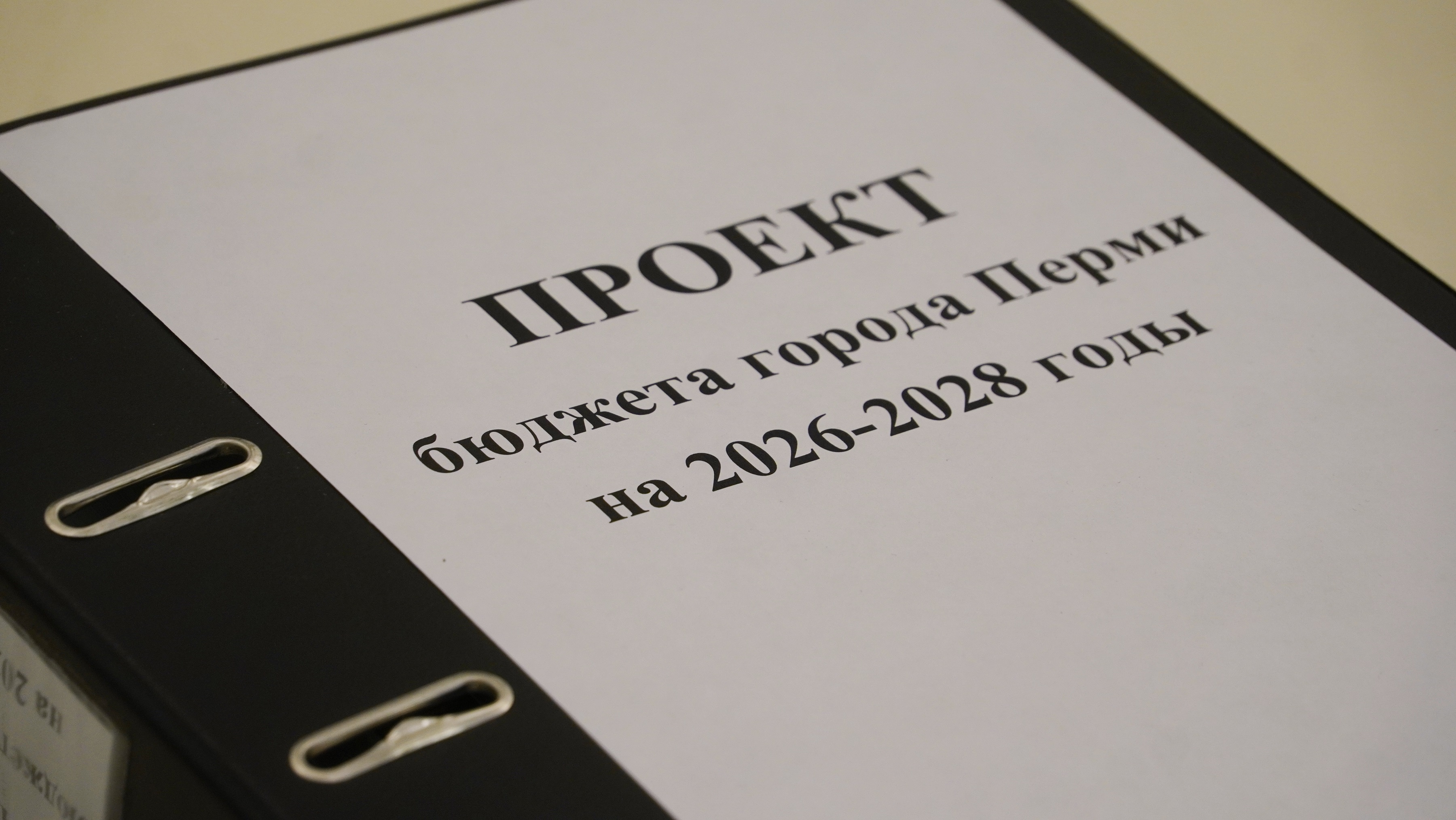 Фото: Пермская городская Дума