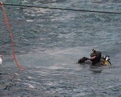 У турецкого побережья Черного моря ищут семерых моряков затонувшего сухогруза "Вера"