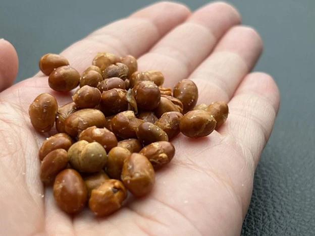 РБК Приморье