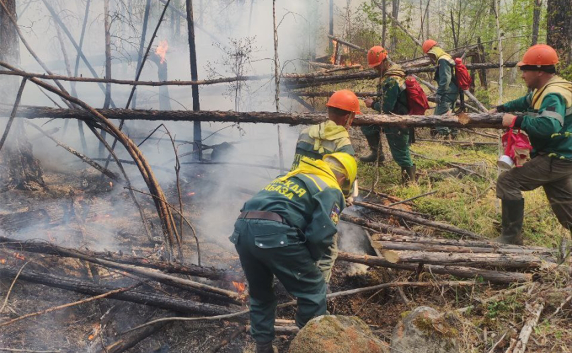 пресс-служба Минприроды Забайкальского края
