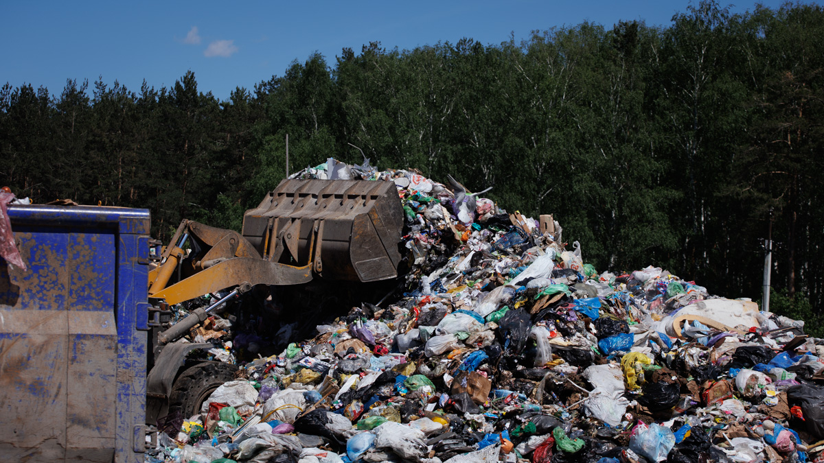 Фото: 66.RU