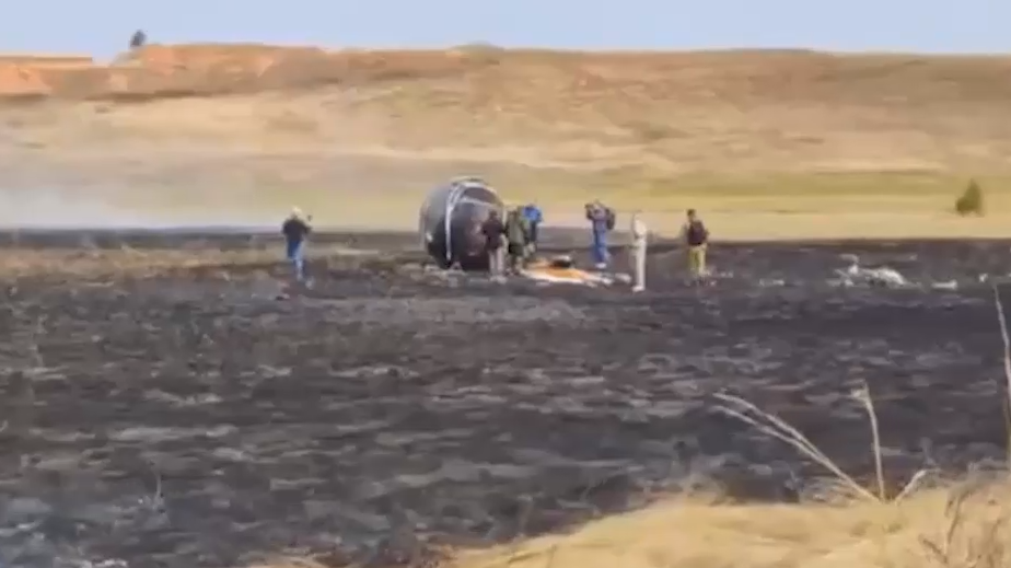 На корабле с мухами ученые проверили гипотезу о рождении жизни на Земле