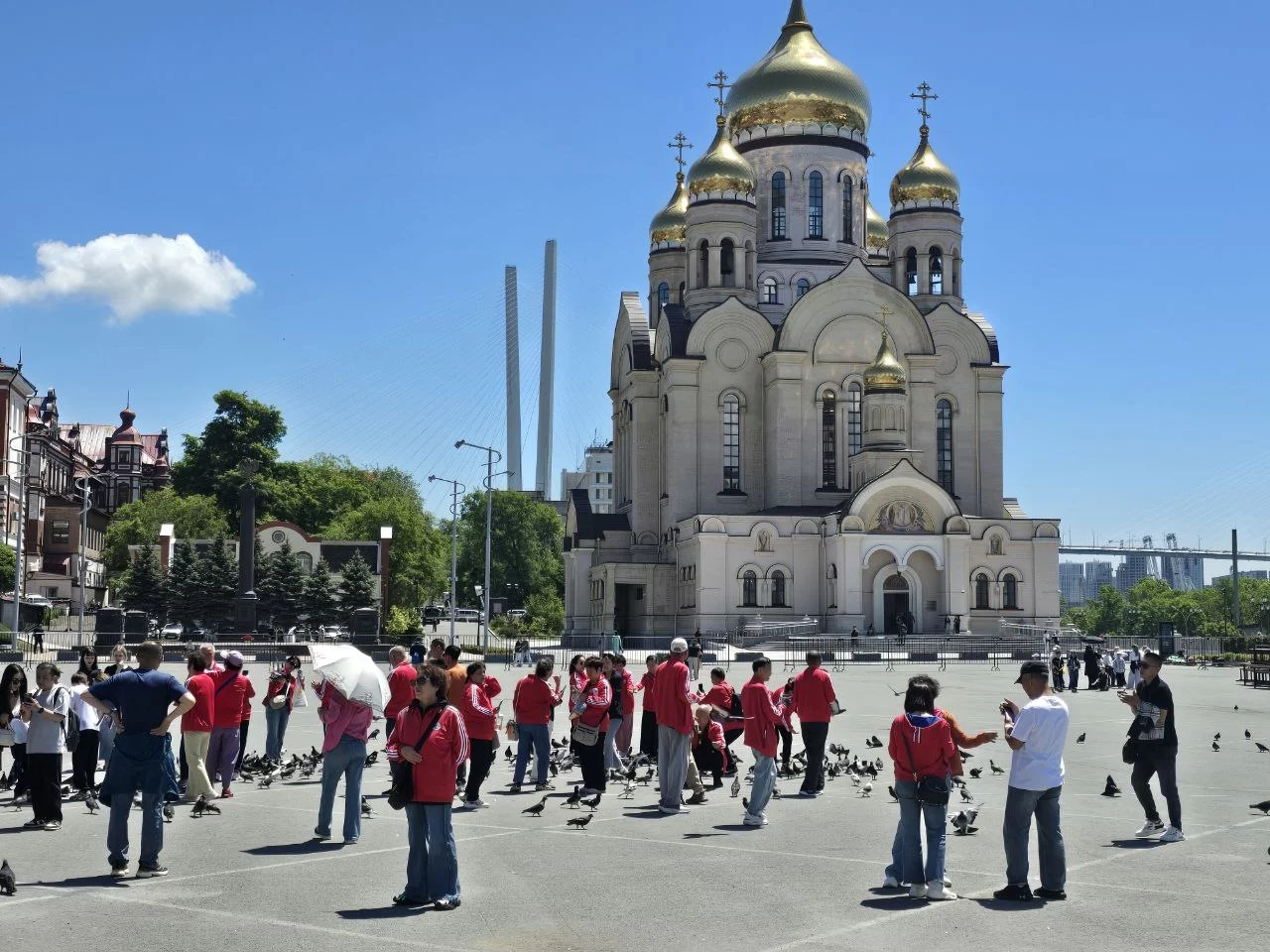 РБК Приморье