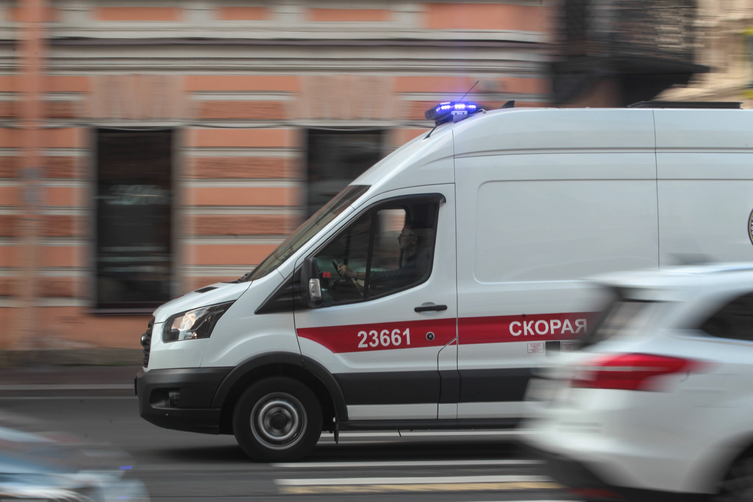 Пименов Роман / PhotoXPress.ru