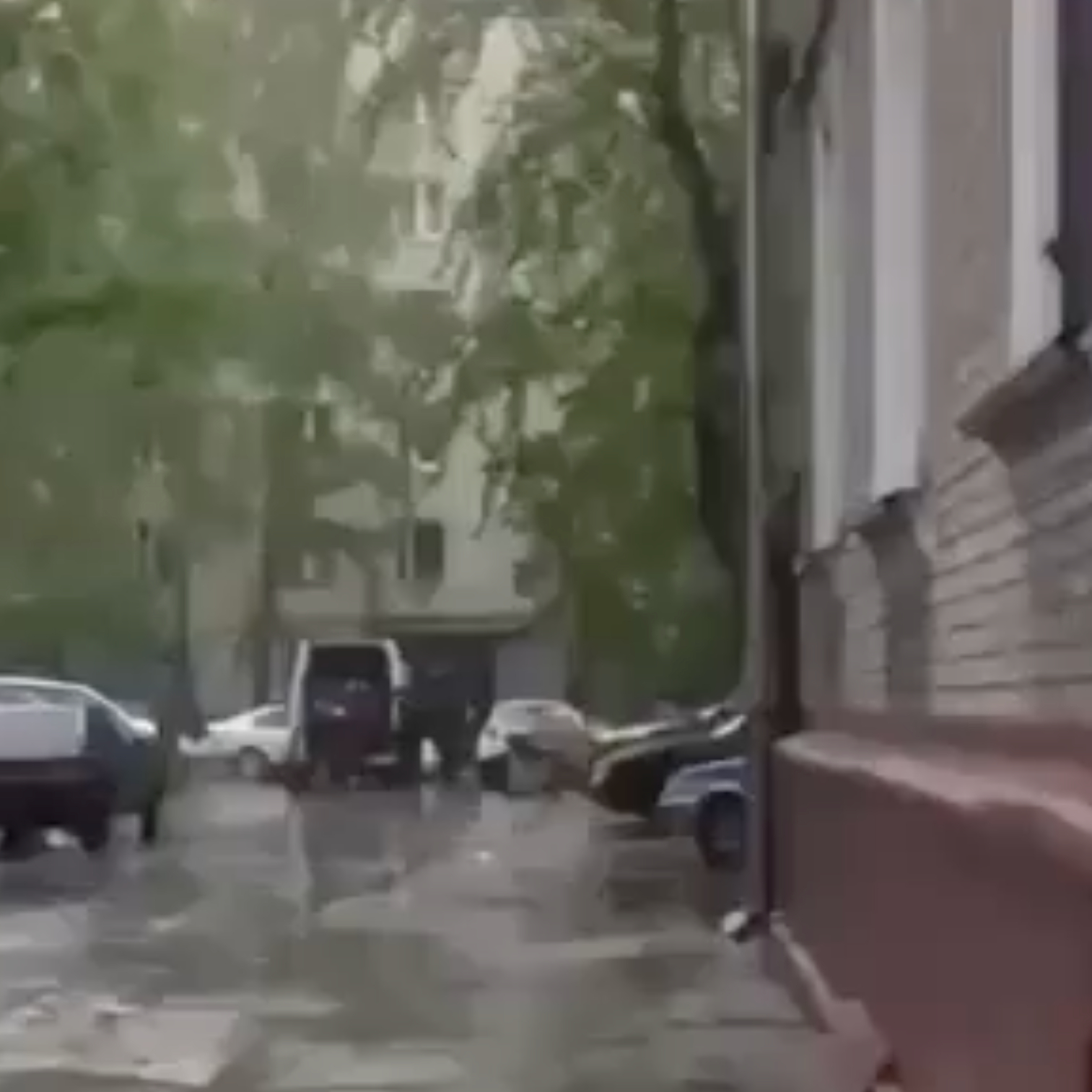 Видео:uvao_one_love / Instagram