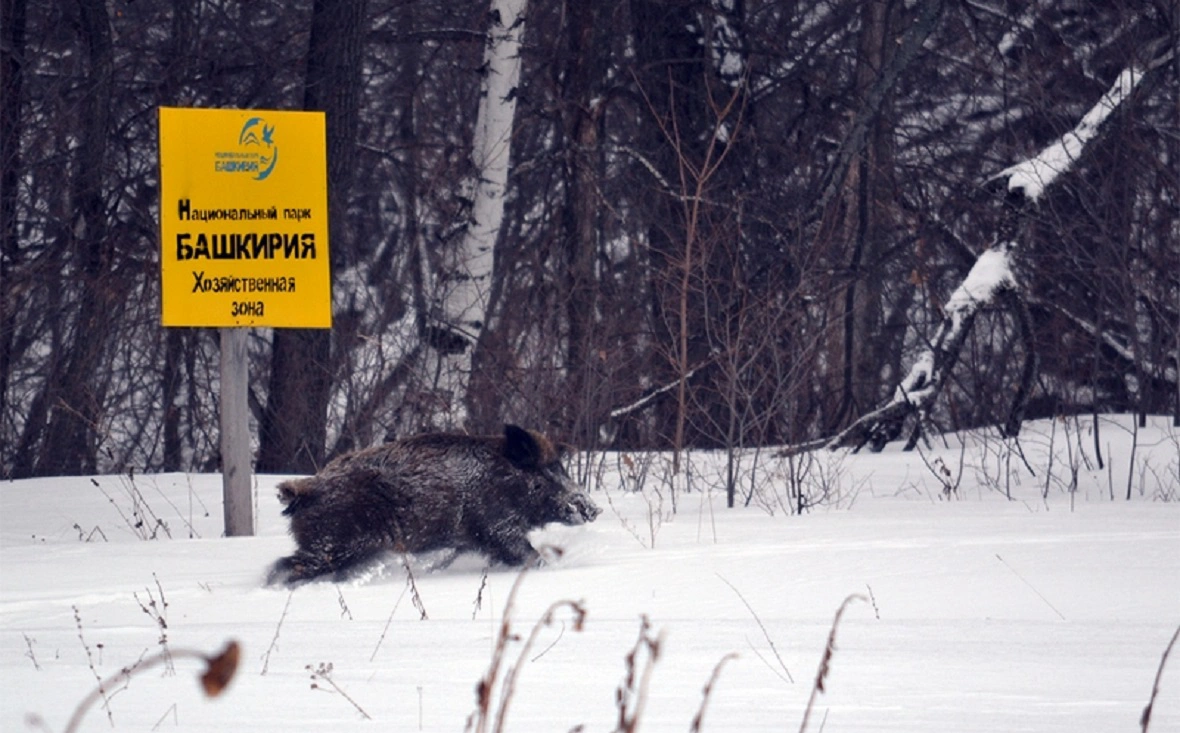 Национальный парк "Башкирия"