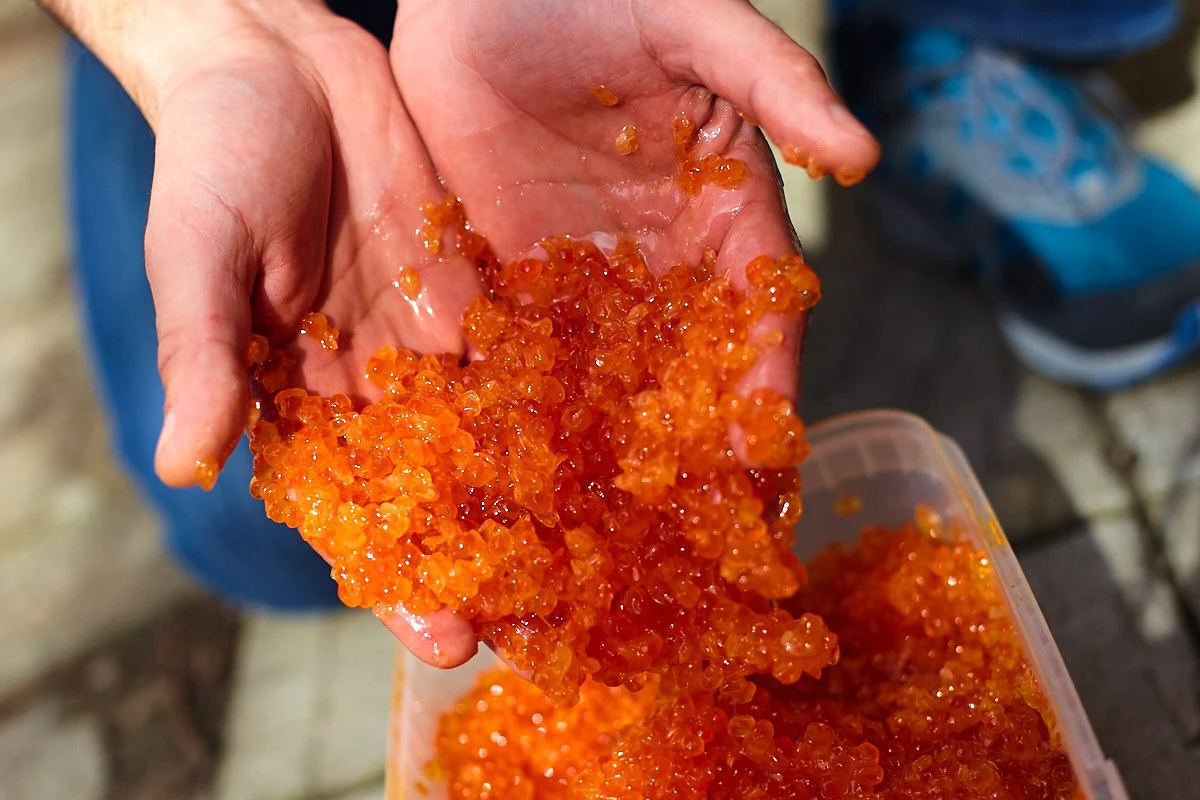 Александр Подгорчук