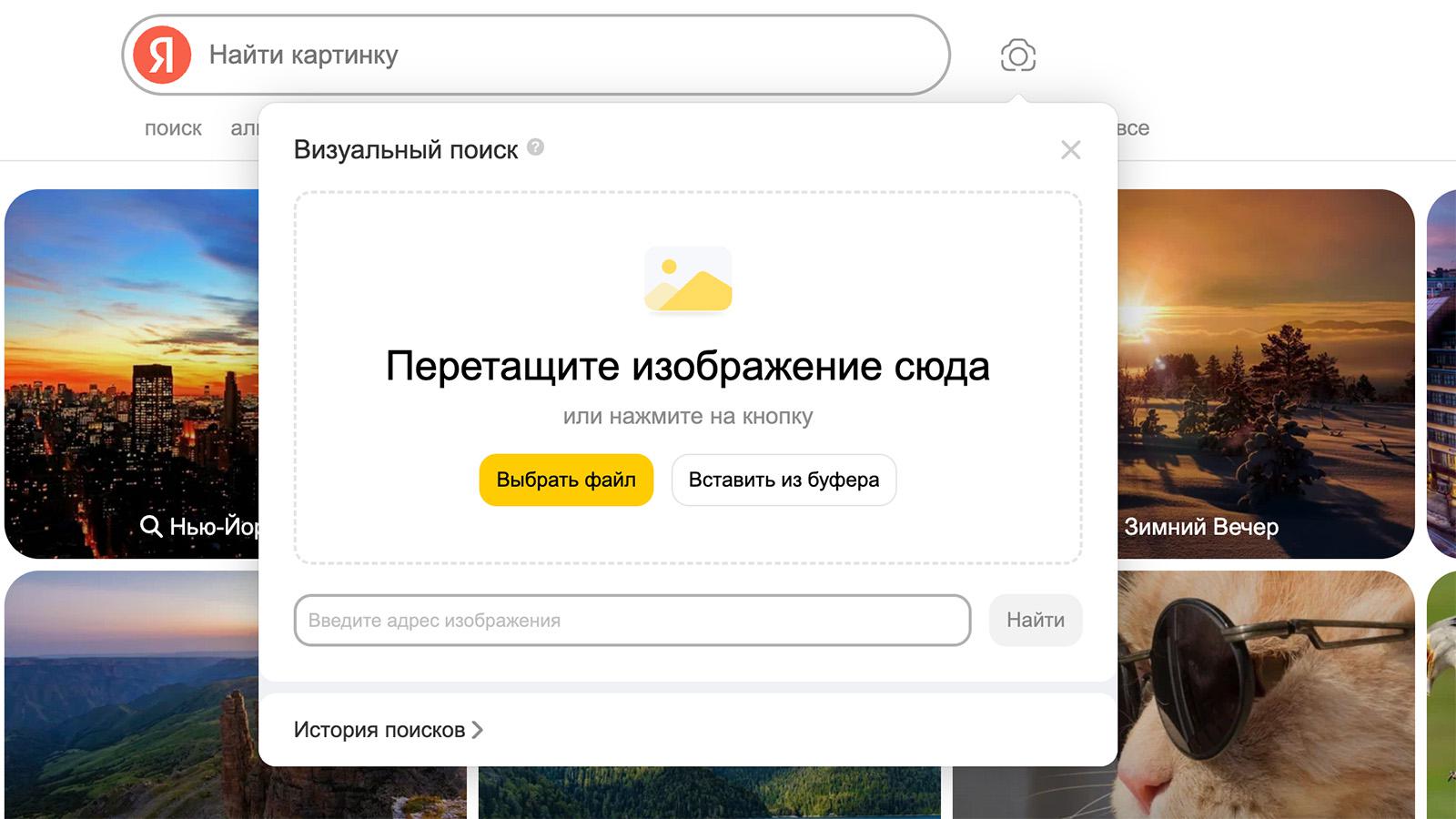 «Яндекс» показал похожих людей, но саму Олесю в интернете не нашел