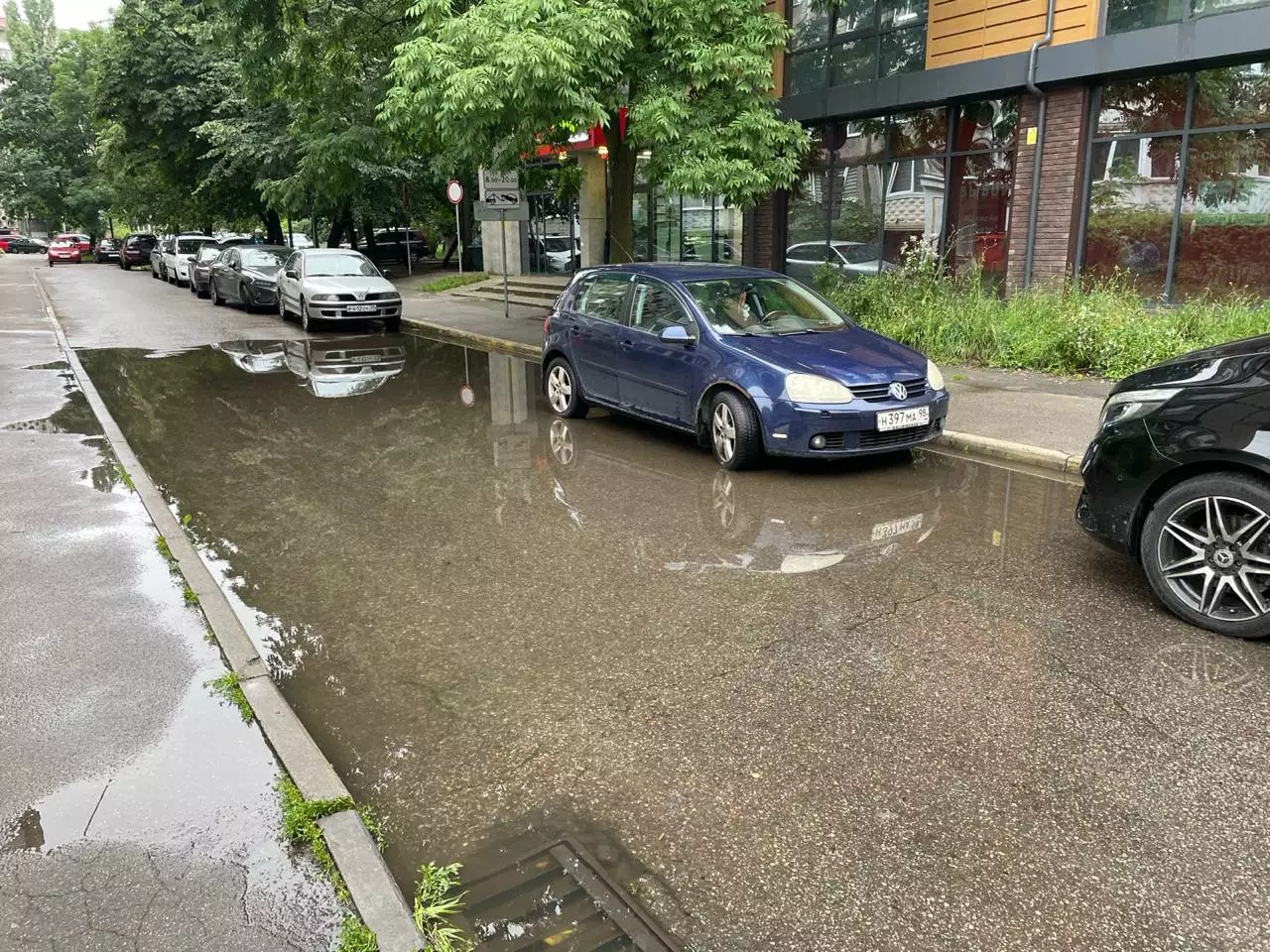 Марина Маркевич